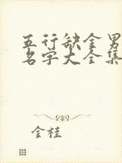 五行缺金男孩的名字大全集