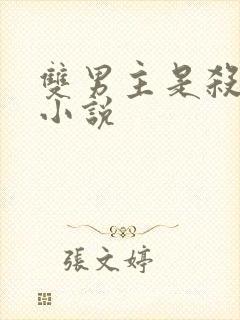 双男主是杀手的小说