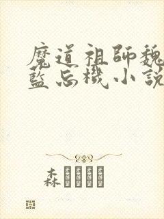 魔道祖师魏无羡蓝忘机小说全文阅读