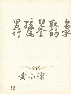 男孩儿取名字五行属金的字