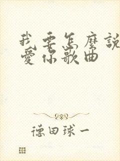 我要怎么说我不爱你歌曲