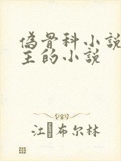 伪骨科小说双男主的小说