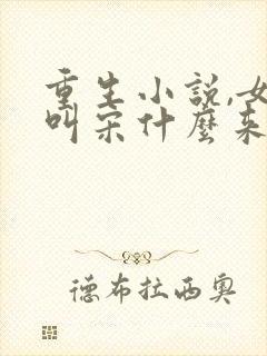 重生小说,女主叫宋什么来的