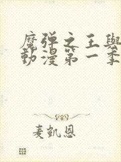 魔弹之王与战姬动漫第一季免费观看