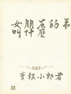 女朋友的弟弟我叫什么