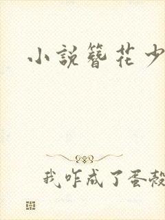 小说簪花少年郎
