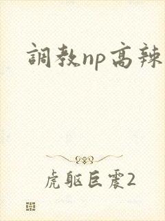 调教np高辣文