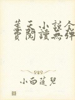 叶天小说全文免费阅读无弹窗