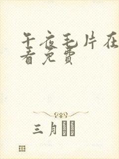 午夜毛片在线观看免费