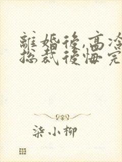 离婚后,高冷女总裁后悔完结篇