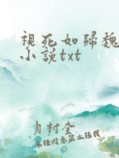 视死如归魏君子小说txt