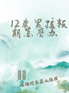 12岁男孩叛逆期怎么办