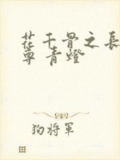 花千骨之长留童尊 青灯