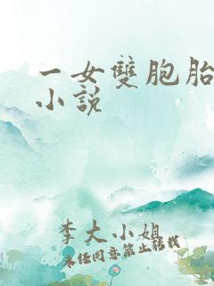 一女双胞胎男主小说