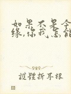 如果不是今生有缘,你我怎能红尘相见