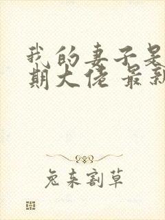 我的妻子是大乘期大佬 最新章节