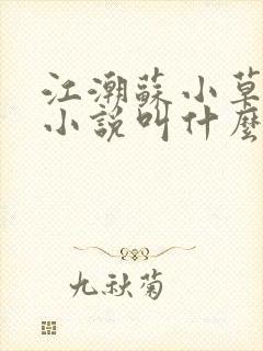 江潮苏小草穿越小说叫什么名字