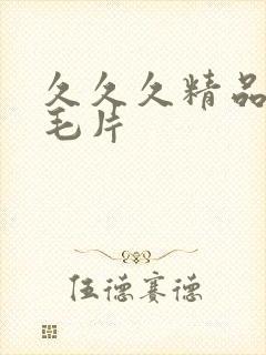 久久久精品国产毛片