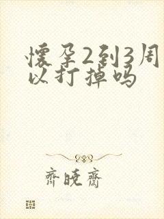 怀孕2到3周可以打掉吗