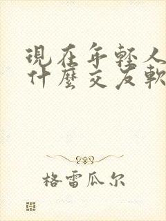 现在年轻人都用什么交友软件