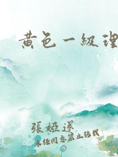 黄色一级理论片