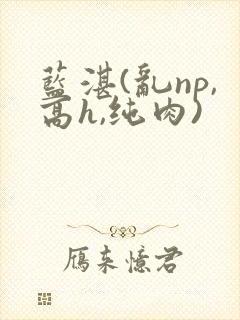 蓝湛(乱np,高h,纯肉)
