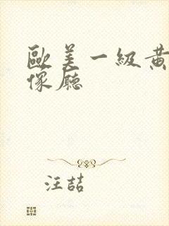 欧美一级黄色录像厅