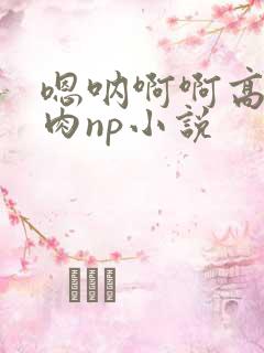 嗯呐啊啊高h纯肉np小说