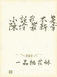 小说我不是戏神陈伶最新章节目录