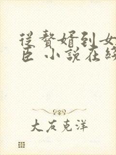 从赘婿到女帝宠臣 小说在线