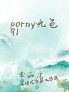 porny九色91