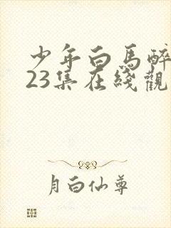 少年白马醉春风23集在线观看