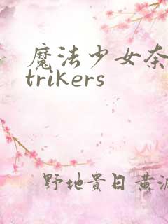魔法少女奈叶strikers
