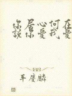 你居心何在 你说你爱我爱我是什么歌