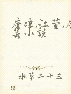 唐浪,江萱,唐芸小说