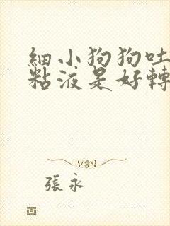 细小狗狗吐白色粘液是好转还是恶化