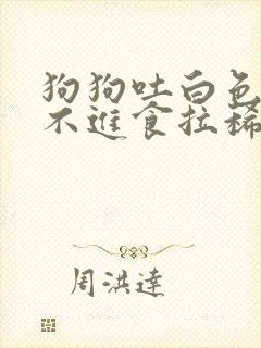 狗狗吐白色粘液不进食拉稀