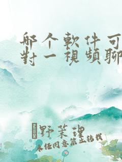 哪个软件可以一对一视频聊天