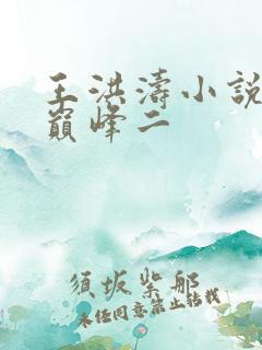 王洪涛小说权力巅峰二