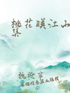 桃花映江山共几集