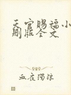 天官赐福小说未删版全文