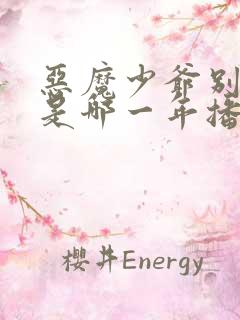 恶魔少爷别吻我是哪一年播出的