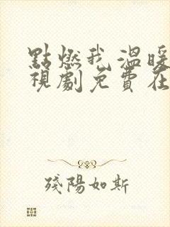 点燃我温暖你电视剧免费在线观看