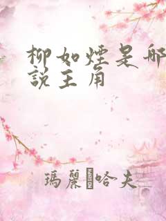 柳如烟是哪部小说主角