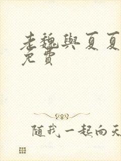 老魏与夏夏全文免费