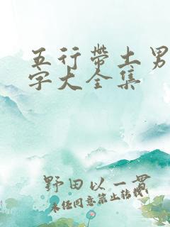 五行带土男孩名字大全集