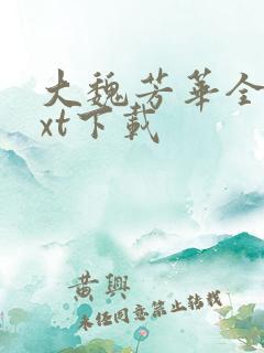 大魏芳华全本txt下载