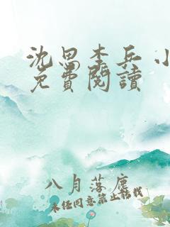 沈思李兵 小说免费阅读