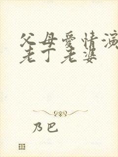 父母爱情演员表老丁老婆