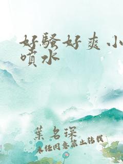 好骚好爽小骚货喷水